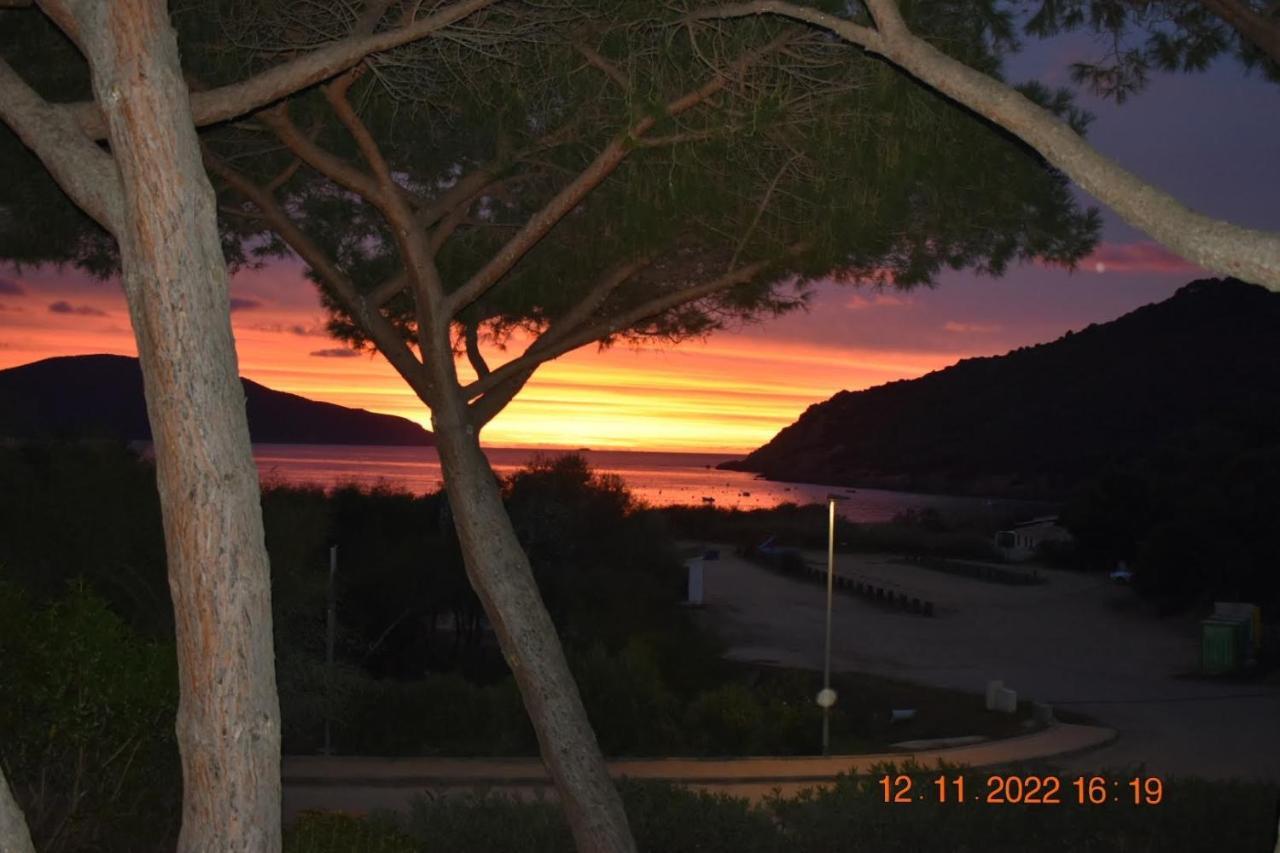 Maison De 4 Chambres De Front De Mer Corse-Du-Sud Appietto Eksteriør bilde
