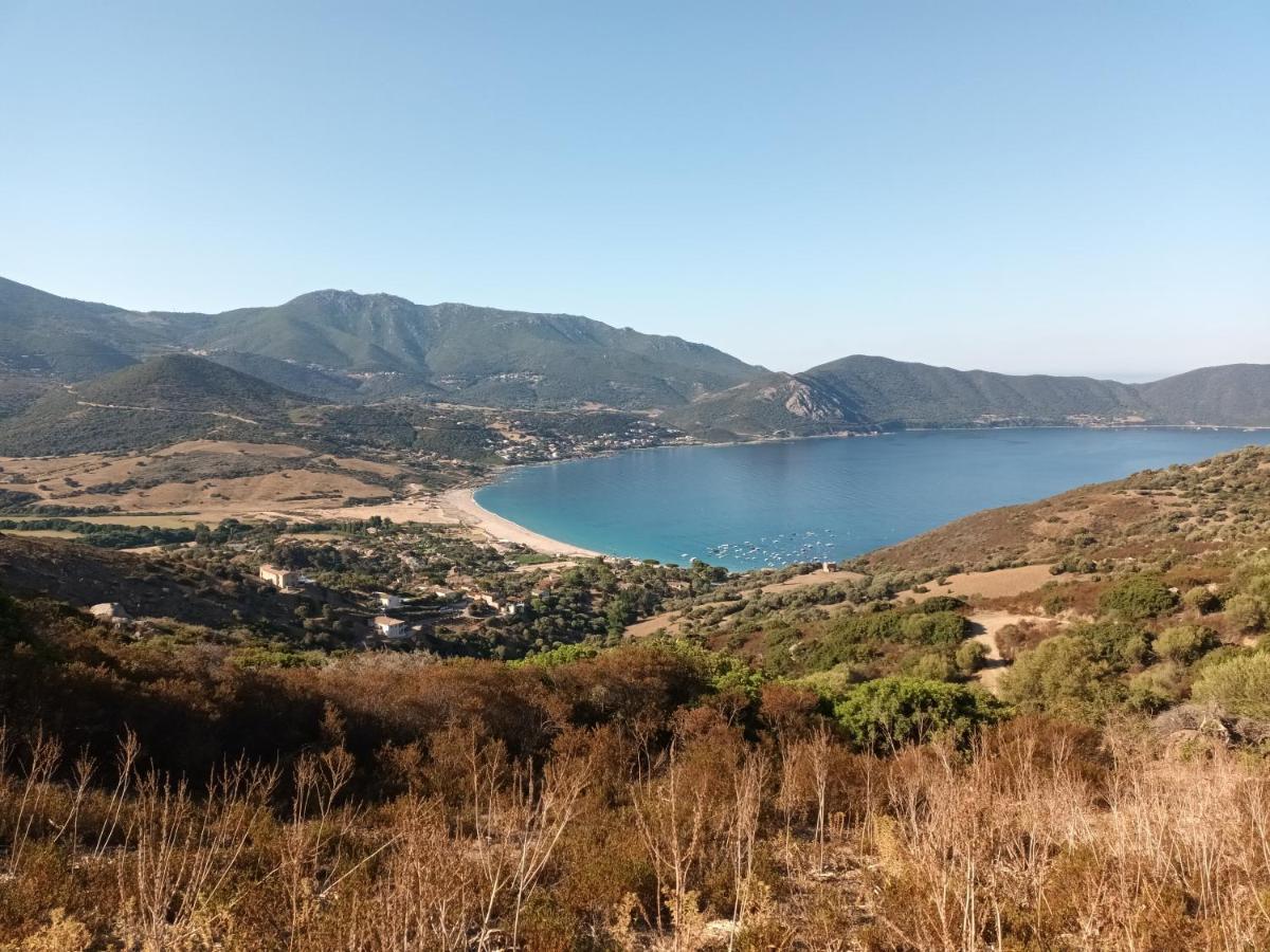 Maison De 4 Chambres De Front De Mer Corse-Du-Sud Appietto Eksteriør bilde