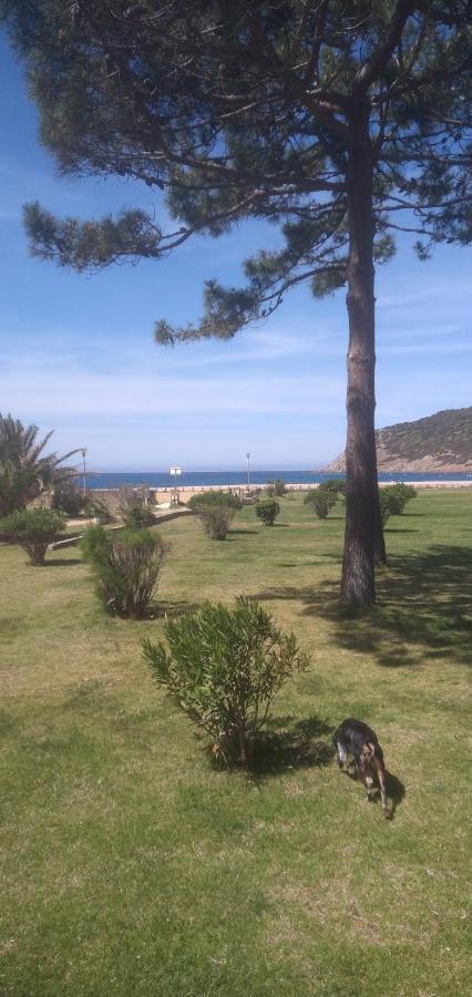 Maison De 4 Chambres De Front De Mer Corse-Du-Sud Appietto Eksteriør bilde